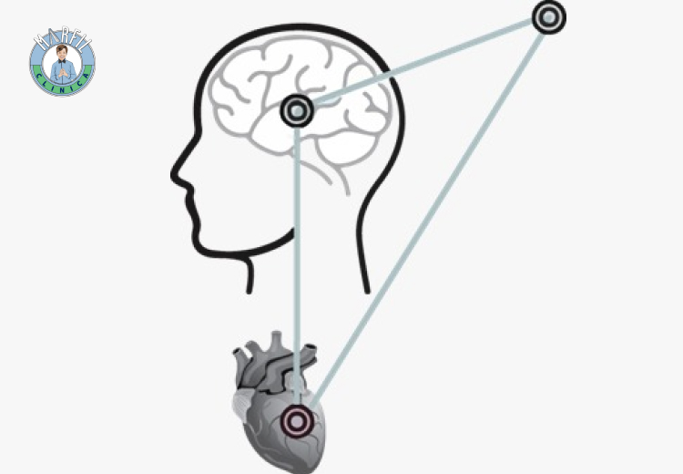 Cele 5 Legi Biologice ale Naturii